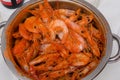 Bowl of boiled shrimps Royalty Free Stock Photo