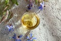 A bowl of borage oil with blooming borage plant