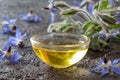 A bowl of borage oil with fresh borage plant