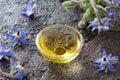 A bowl of borage oil with blooming borage plant