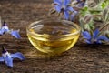 A bowl of borage oil with blooming borage plant