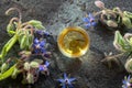 A bowl of borage oil with fresh blooming Borago officinalis