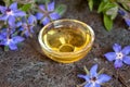 A bowl of borage oil with blooming borage plant