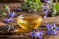 A bowl of borage oil and borage seeds and flowers Royalty Free Stock Photo