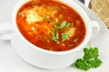 Bowl of borscht. Royalty Free Stock Photo