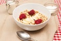 Breakfast cereal Royalty Free Stock Photo