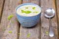 Bowl of broccoli and cheddar cheese soup Royalty Free Stock Photo