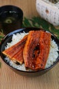 Bowl of broiled eel Royalty Free Stock Photo