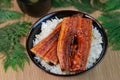 Bowl of broiled eel Royalty Free Stock Photo