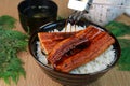 Bowl of broiled eel Royalty Free Stock Photo