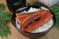 Bowl of broiled eel Royalty Free Stock Photo