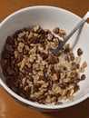 A bowl of cereal, chocolate flavour