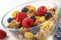 Bowl of cereals and berry fruit Royalty Free Stock Photo