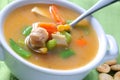 Bowl of Chicken Noodle Soup Royalty Free Stock Photo