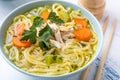 Bowl of Chicken Noodle Soup Royalty Free Stock Photo