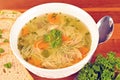 Bowl with chicken soup with vegetables and chicken meat, toasted bread