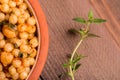 Bowl of chickpeas with herbs Royalty Free Stock Photo