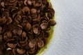 Bowl of chocolate flakes Royalty Free Stock Photo