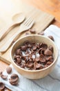 Bowl of chocolate flakes with milk Royalty Free Stock Photo