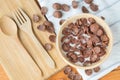 Bowl of chocolate flakes with milk Royalty Free Stock Photo