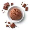 Bowl of chocolate ice cream scoop Royalty Free Stock Photo