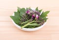 Bowl of Comfrey Royalty Free Stock Photo