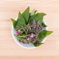 Bowl of Comfrey Royalty Free Stock Photo