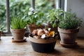 Bowl of compost with eggshells and garden plants on a table Generative AI Royalty Free Stock Photo