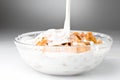 Bowl with corn flakes and milk Royalty Free Stock Photo