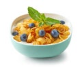 Bowl of corn flakes with milk Royalty Free Stock Photo