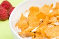 Bowl of corn flakes with raspberry on background Royalty Free Stock Photo