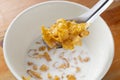 Bowl of cornflakes in milk on wood background from above Royalty Free Stock Photo