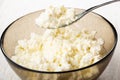 Bowl of cottage cheese with condensed milk, spoon with cottage cheese above bowl Royalty Free Stock Photo