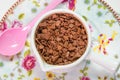 Bowl with creamy brigadeiro. Brazilian famous candy.Brigadeiro de Colher . Brigadier