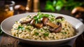 A bowl of creamy and flavorful mushroom risotto Royalty Free Stock Photo