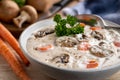 Bowl of creamy mushroom soup Royalty Free Stock Photo