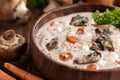 Bowl of creamy mushroom soup Royalty Free Stock Photo