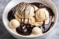 Bowl of creamy and rich vanilla ice cream with chocolate sauce