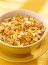 Bowl of crunchy corn flakes for breakfast Royalty Free Stock Photo