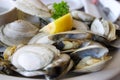Bowl of Delicious Fresh Steamer Clams with Lemon and Broth Royalty Free Stock Photo