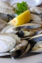 Bowl of Delicious Fresh Steamer Clams with Lemon and Broth Royalty Free Stock Photo