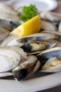 Bowl of Delicious Fresh Steamer Clams with Lemon and Broth Royalty Free Stock Photo