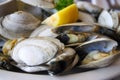Bowl of Delicious Fresh Steamer Clams with Lemon and Broth Royalty Free Stock Photo