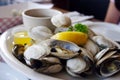 Bowl of Delicious Fresh Steamer Clams with Lemon and Broth Royalty Free Stock Photo
