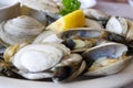 Bowl of Delicious Fresh Steamer Clams with Lemon and Broth Royalty Free Stock Photo