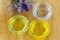 Bowl of different organic oil - cold pressed Coconut oil, Jojoba