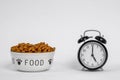 Bowl dog food with paws, next to the alarm clock with hands set to five-o-clock time. Lunch or other pet meal memorizing. Royalty Free Stock Photo