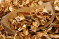 Bowl of dried mushrooms Royalty Free Stock Photo