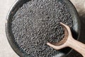 A bowl of dried poppy seeds. Top view. Macro shot Royalty Free Stock Photo