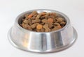 Bowl with dry dog food Royalty Free Stock Photo
